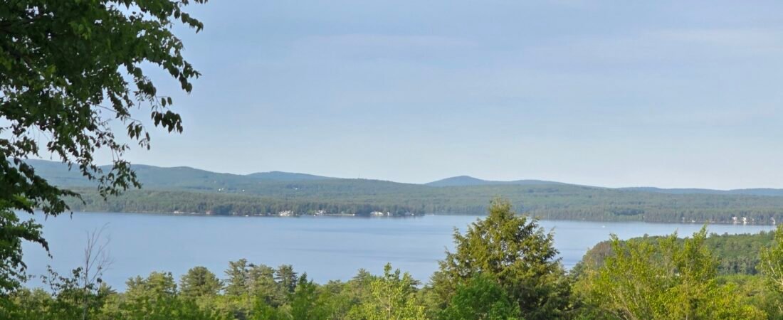 Empowering Citizens: NH-Based Human-Focused Libertarianism