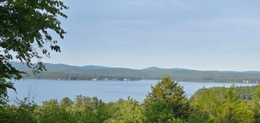Empowering Citizens: NH-Based Human-Focused Libertarianism